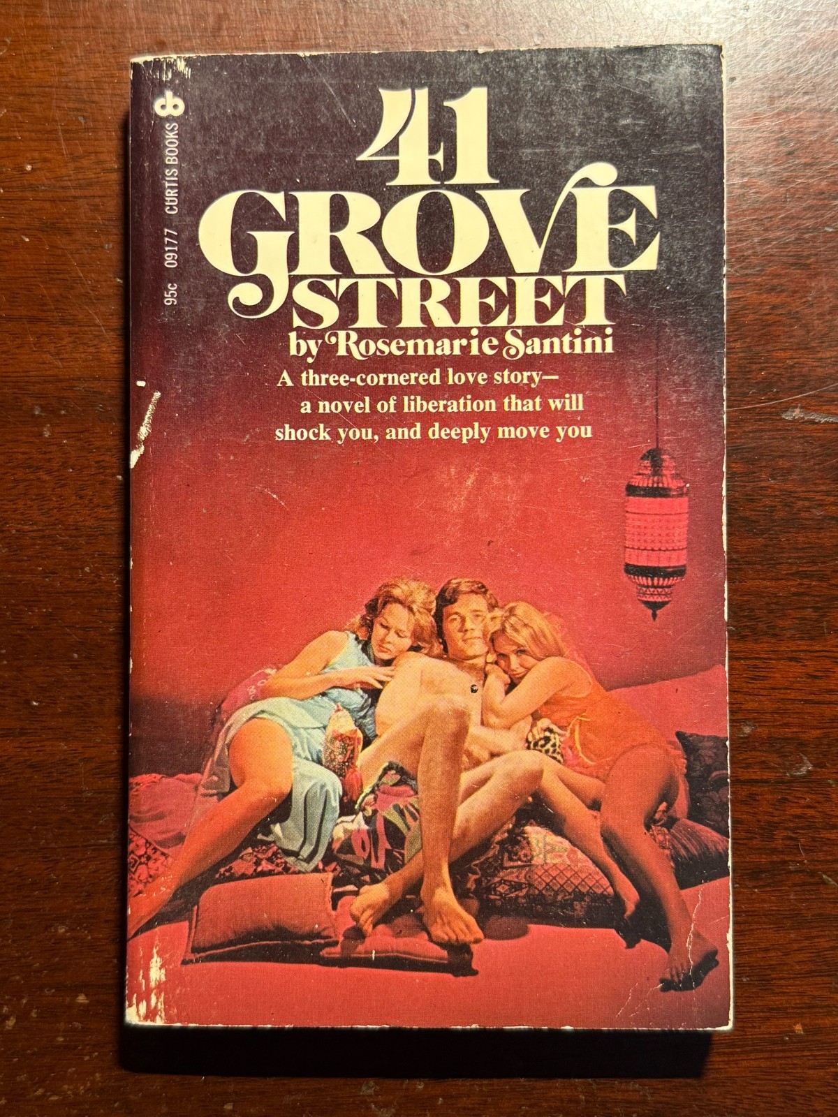41 Grove Street Rosemarie Santini Curtis Books 1973 1970s Vtg PB Book