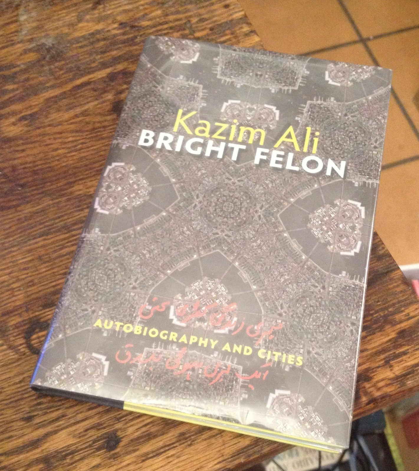 Bright Felon KAZIM ALI 2009 First POETRY Autobiography and Cities LOOK!!