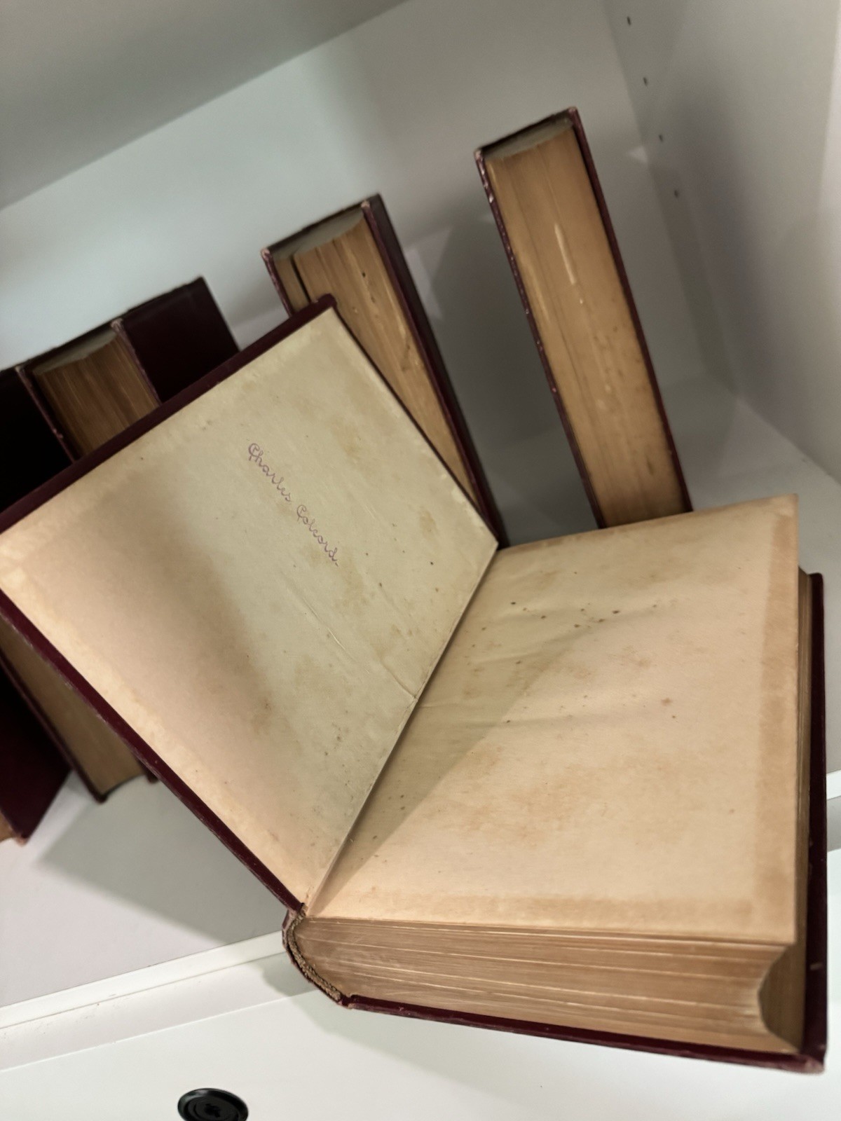 Works of Dumas 6 Volumes of The John Wanamaker Edition Leather Bound Hardcover