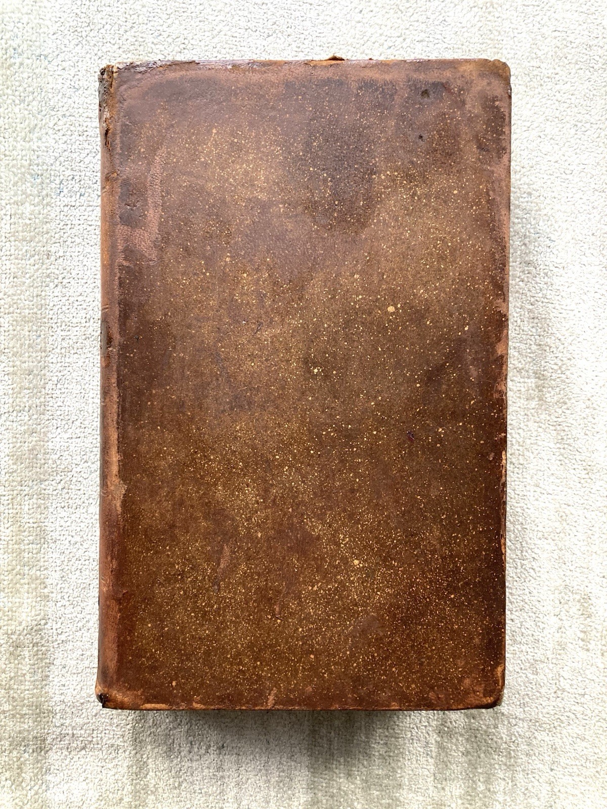 Antique, A System Of Human Anatomy, Erasmus Wilson, 1848, Illustrated