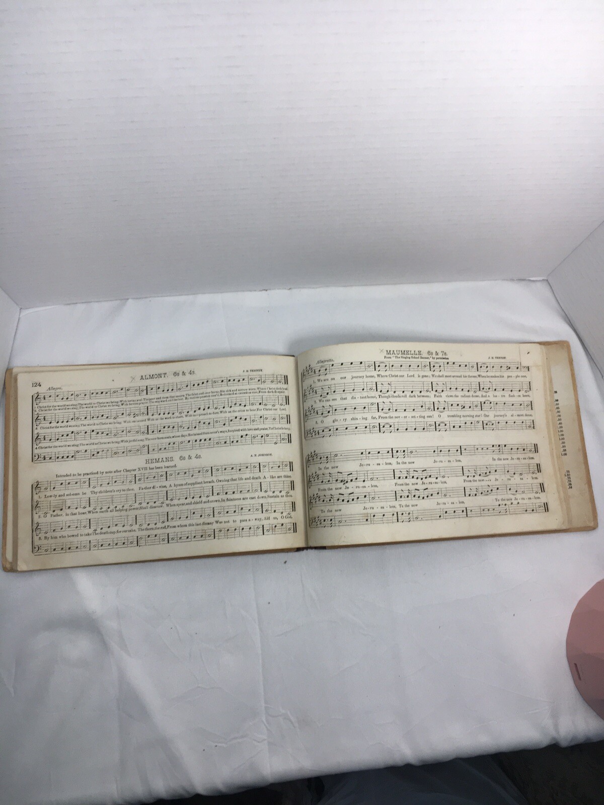 Antique Book 1878 Johnson’s Method For Singing Classes by A. N. Johnson