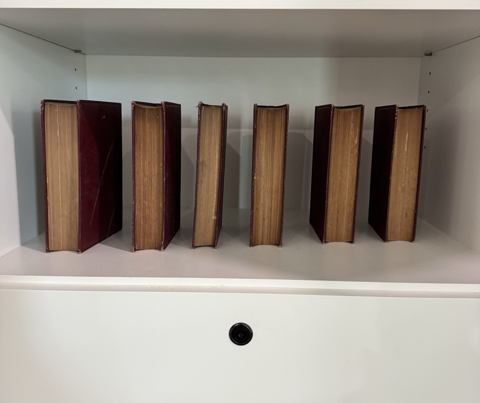 Works of Dumas 6 Volumes of The John Wanamaker Edition Leather Bound Hardcover