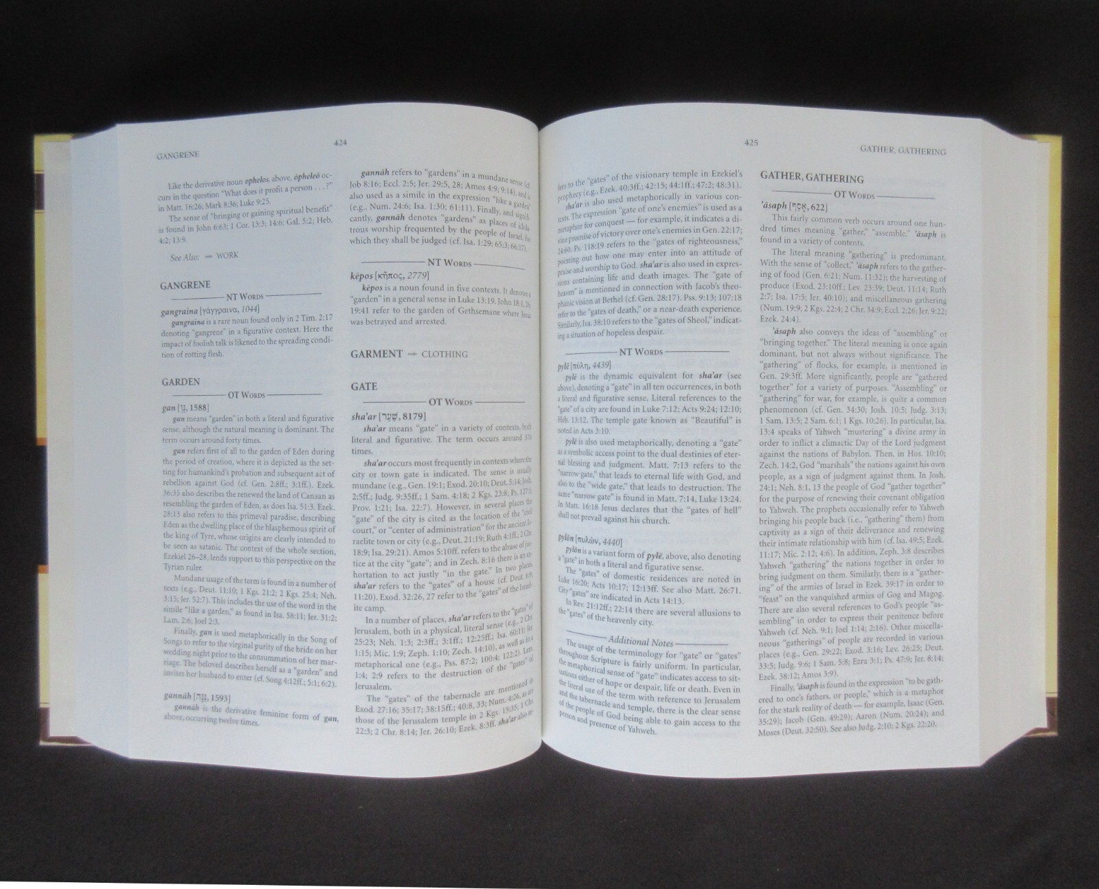 EXPOSITORY DUICTIONARY OF BIBLE WORDS Stephen D Renn 2006 Hendrickson