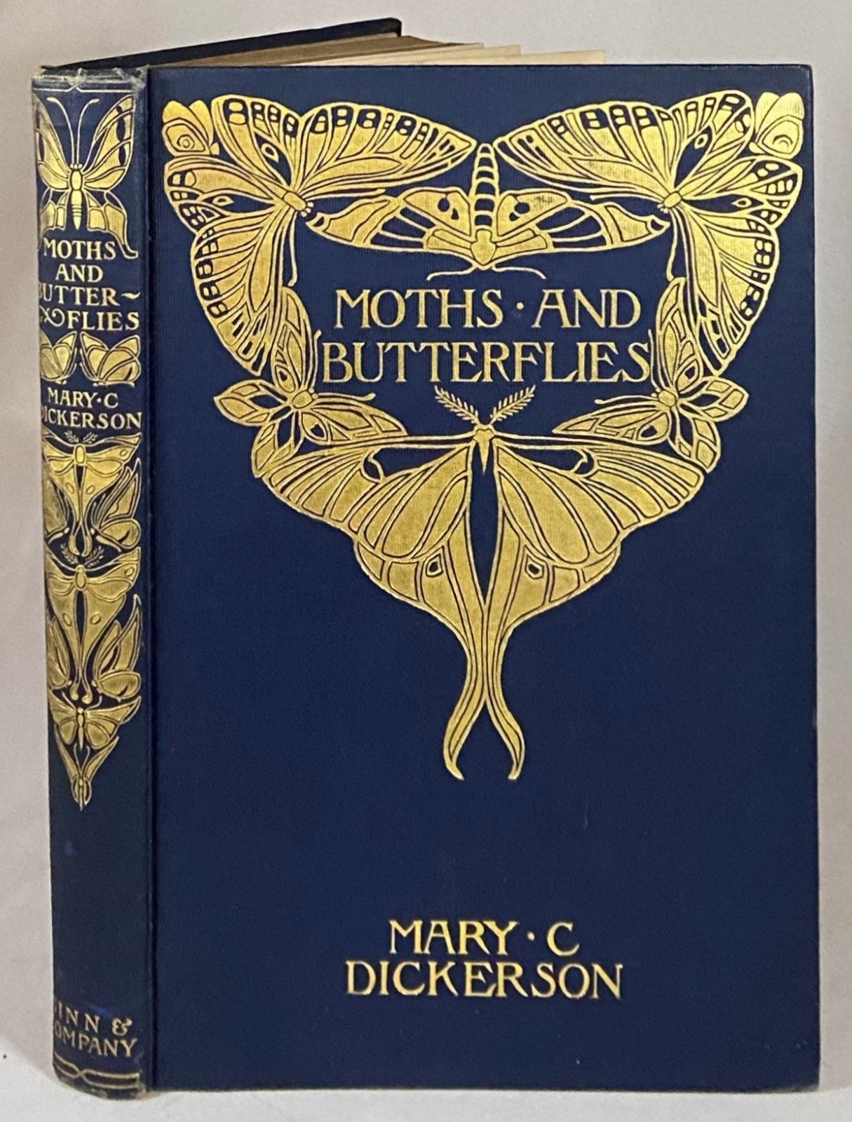 1901 MOTHS AND BUTTERFLIES Entomology DICKERSON Antique Natural History Book