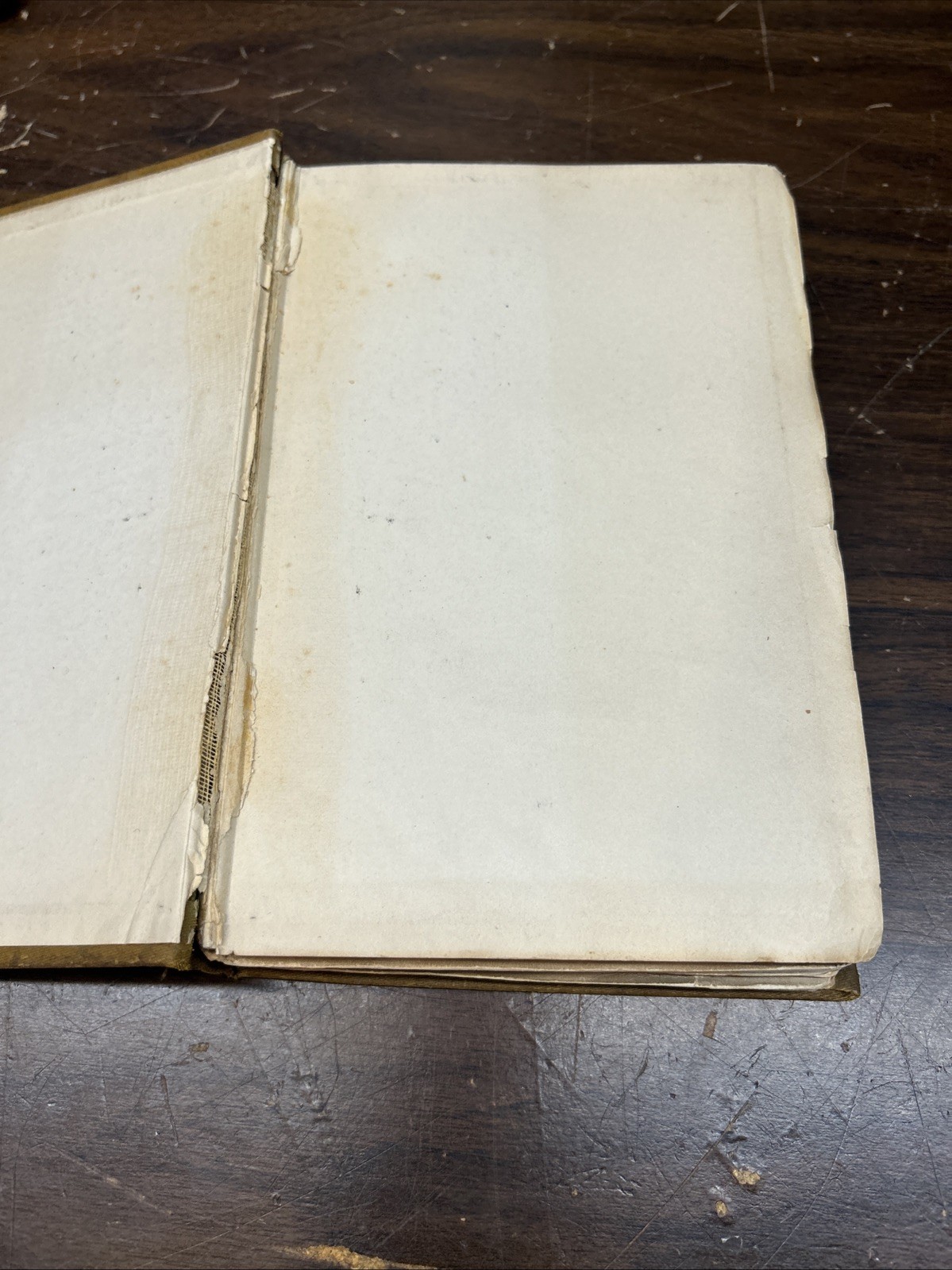 1900 Kentucky Cardinal Aftermath James Lane Allen Hugh Thomson Illustrated