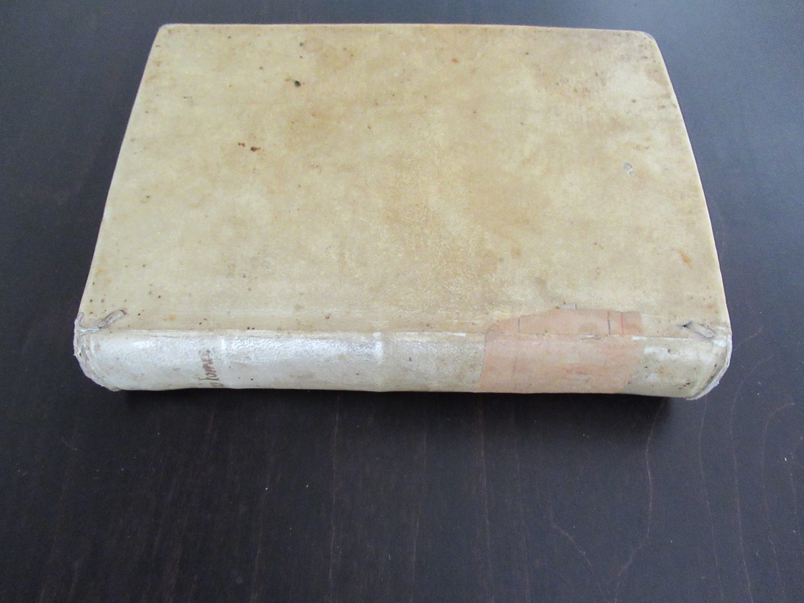 Compendium anatomicum, totam rem anatomicam brevissime complectens