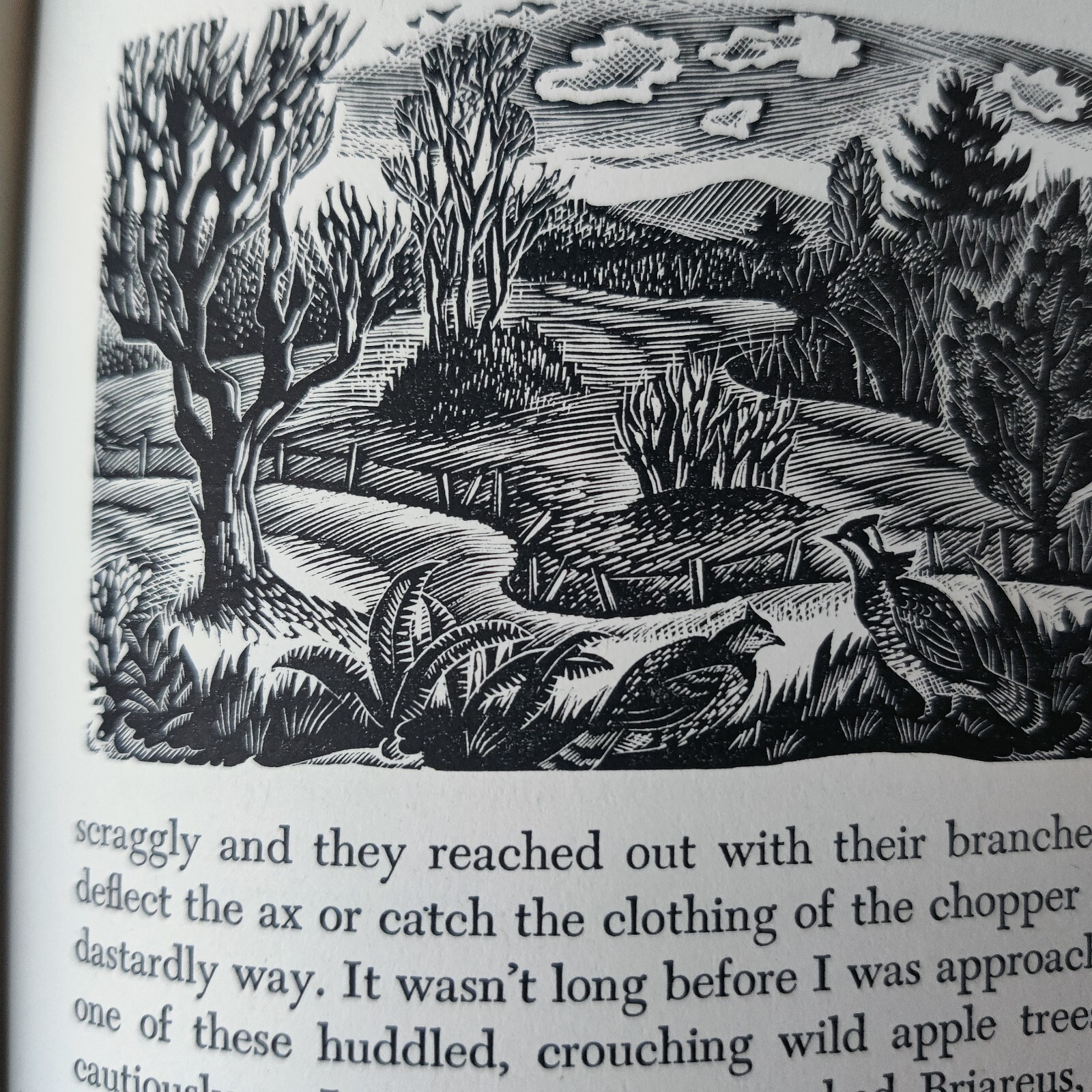 Footnotes on Nature John Kieran Nora Unwin 1947 HC DJ 1st Edition Engravings