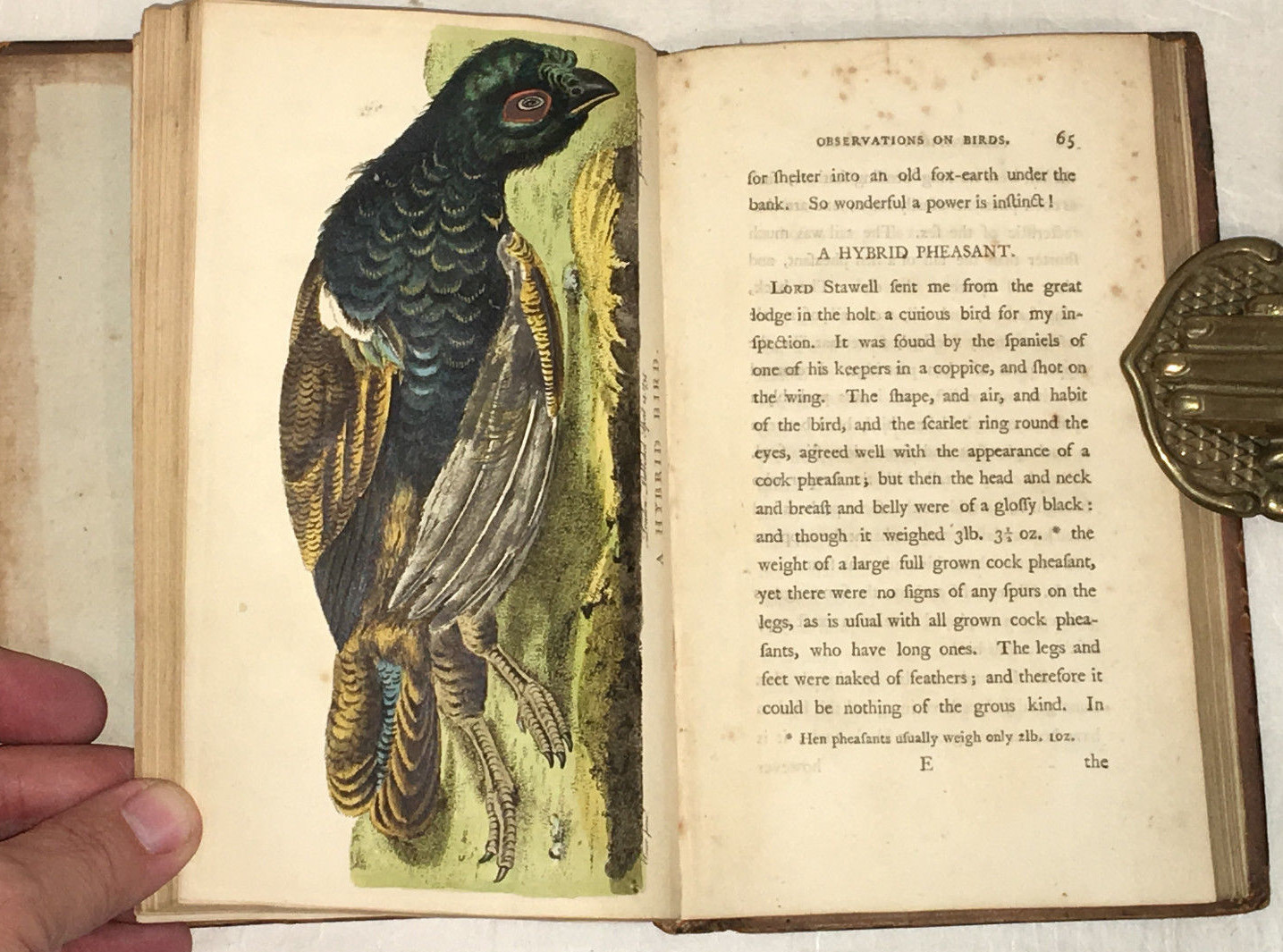 Gilbert White A Naturalist’s Calendar First Edition London 1795 Hand-colored