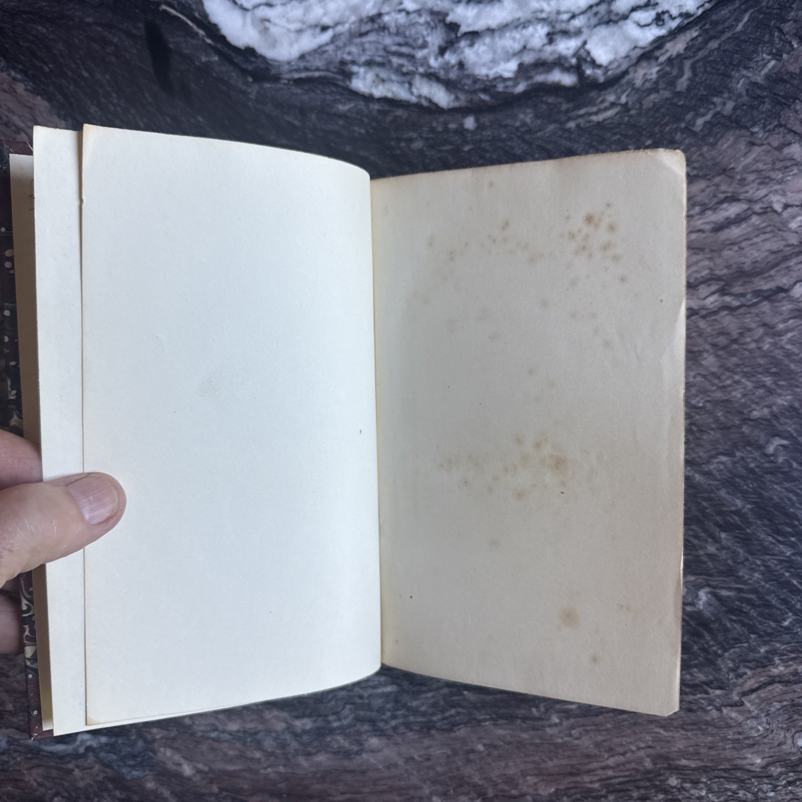 Charles Darwin 1st Edition Fertilization of Orchids London 1862