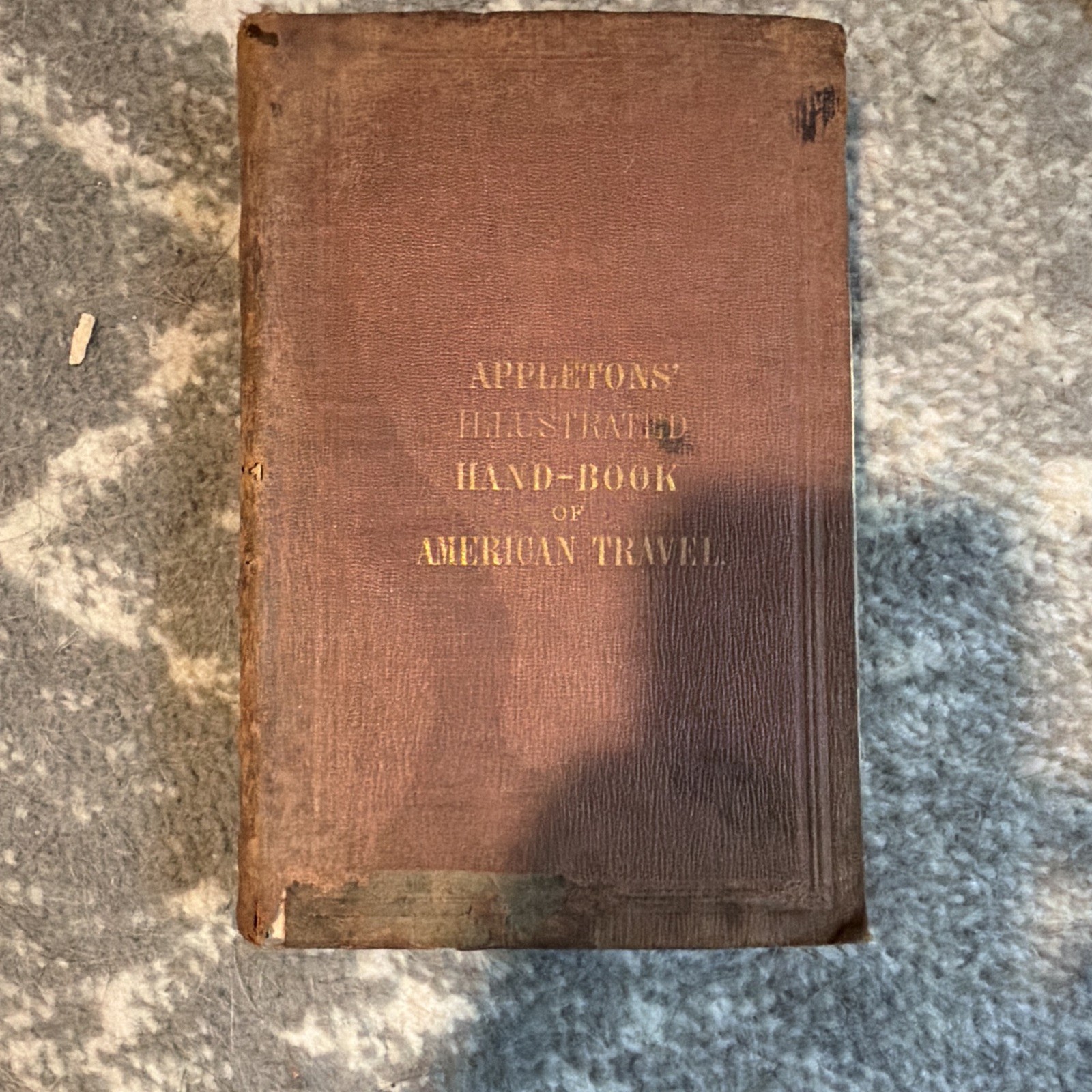 D. Appleton & Co. Appletons‘ Illustrated Hand Book of American Travel 1860 HC