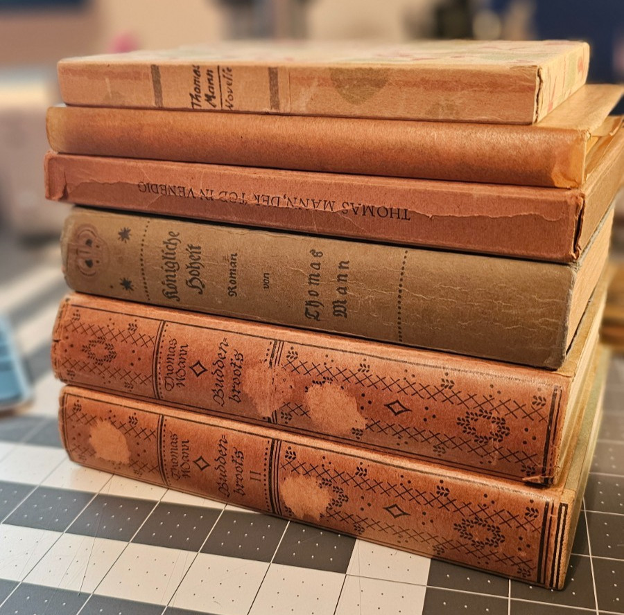 Thomas Mann Book Lot in German Early editions 6 Books Buddenbrooks Venice more