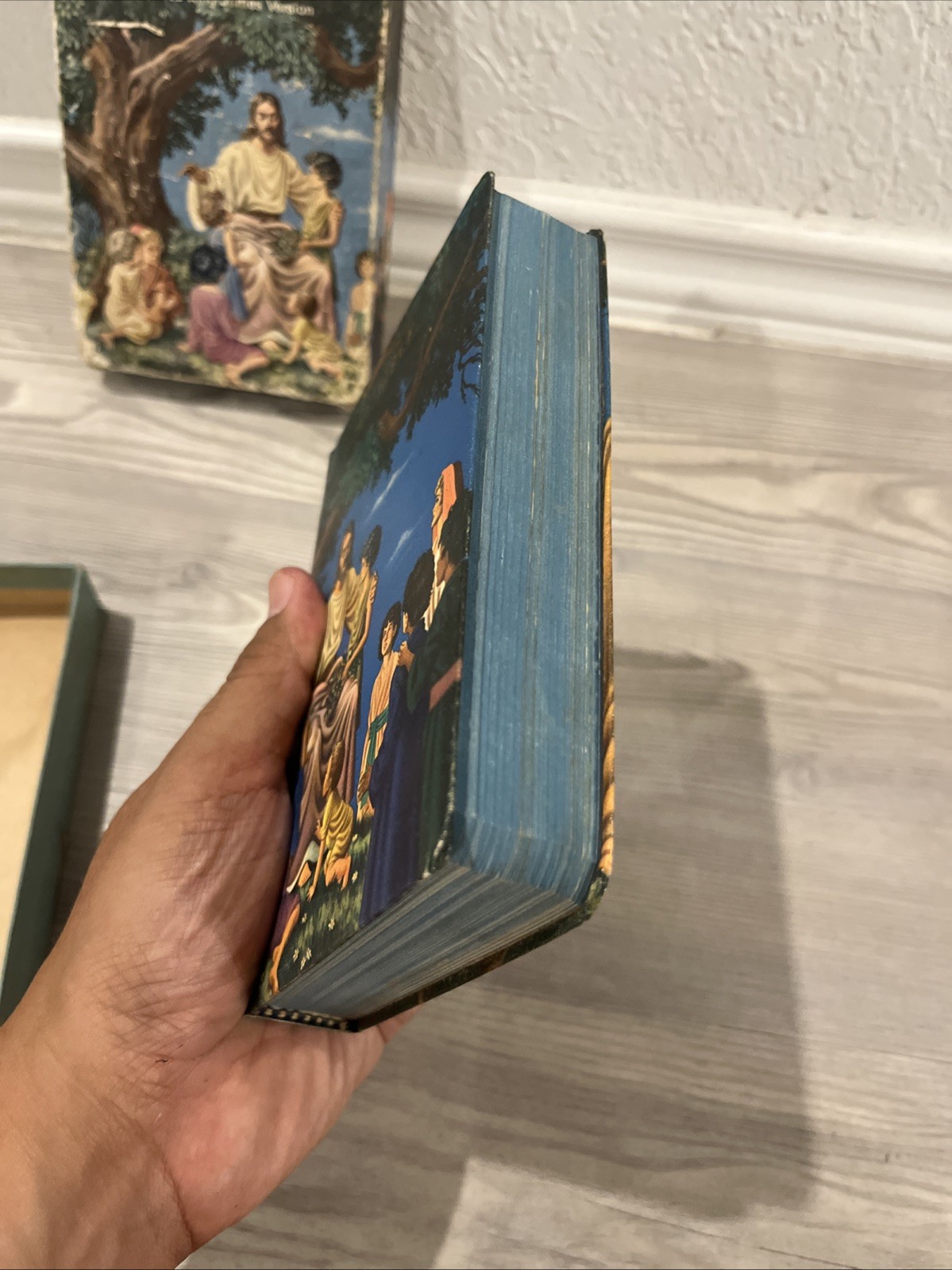 The Rainbow Bible King James Version For Young People 603 Worn