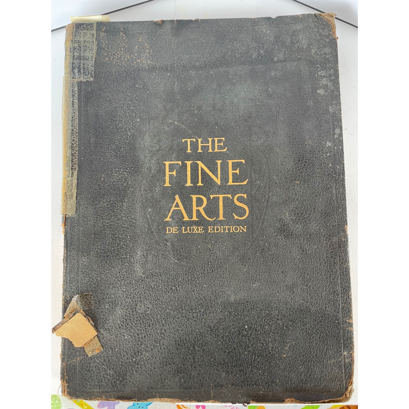 The Fine Arts De Luxe Edition 1907 National Art Society Antique Art History Book