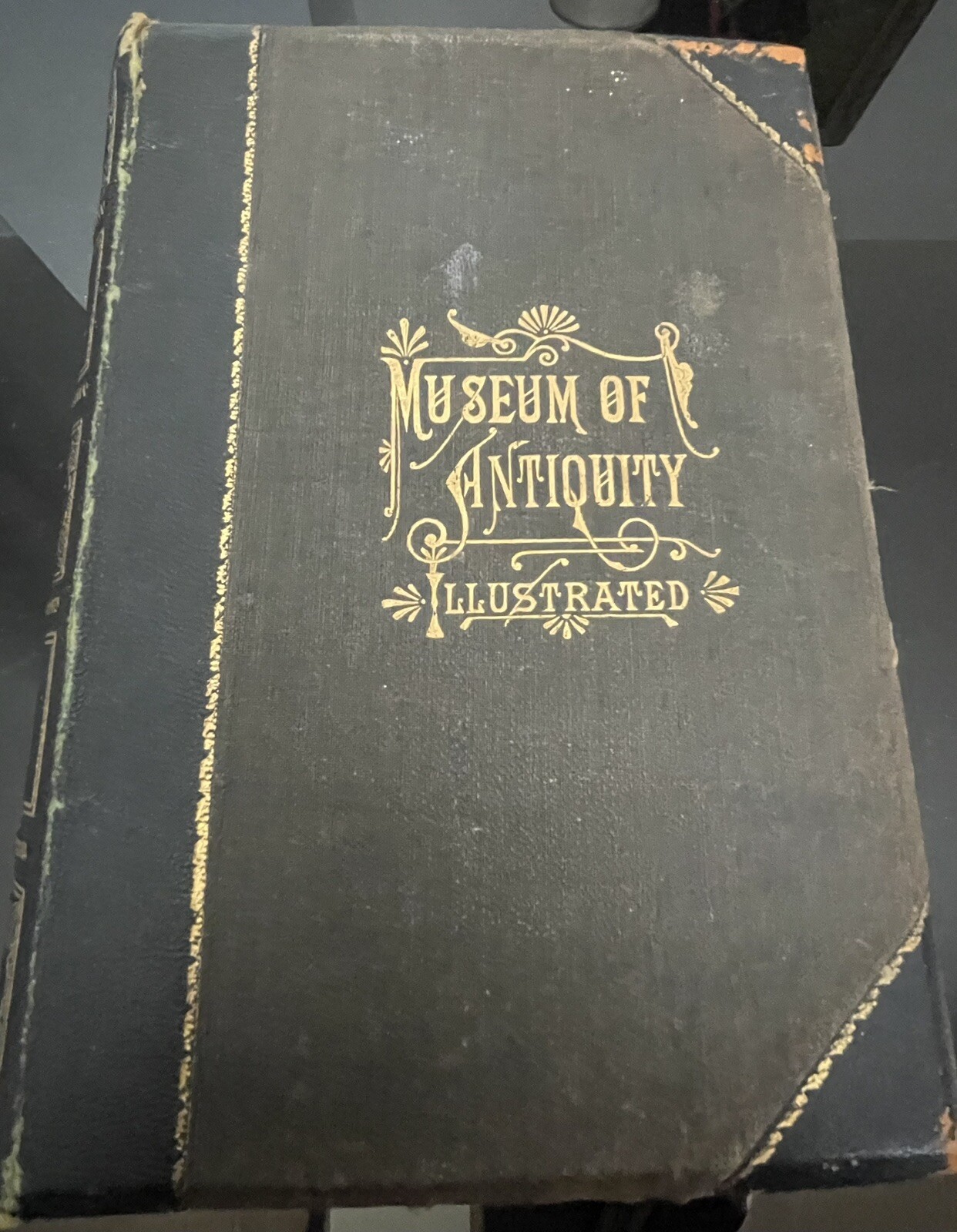 Museum Of Antiquity 1882