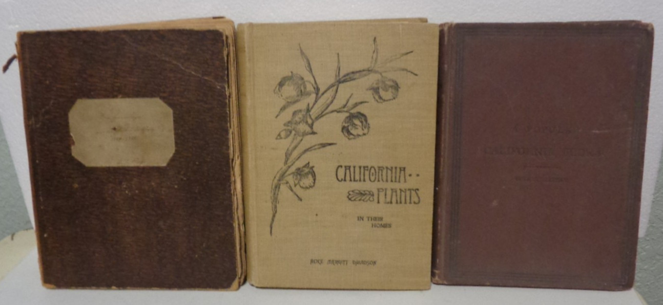 1881-1887 Field Notebook With Flora Samples + 2 California Plants Books FR & CA