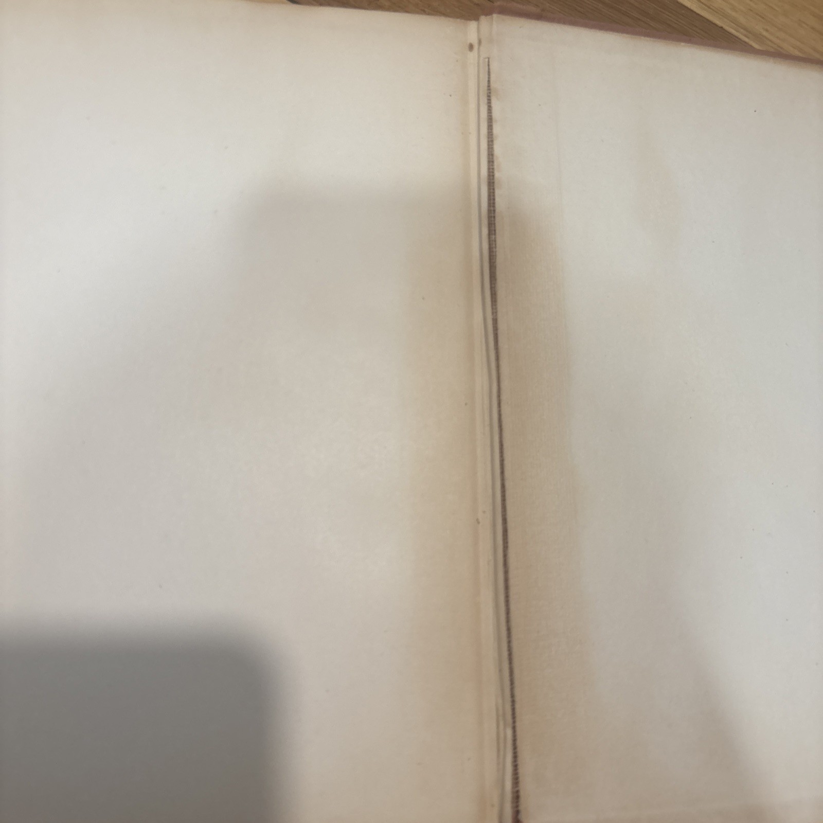Wild Pilgrimage – Novel in Wood Cuts Lynd Ward 1932 1st Edition