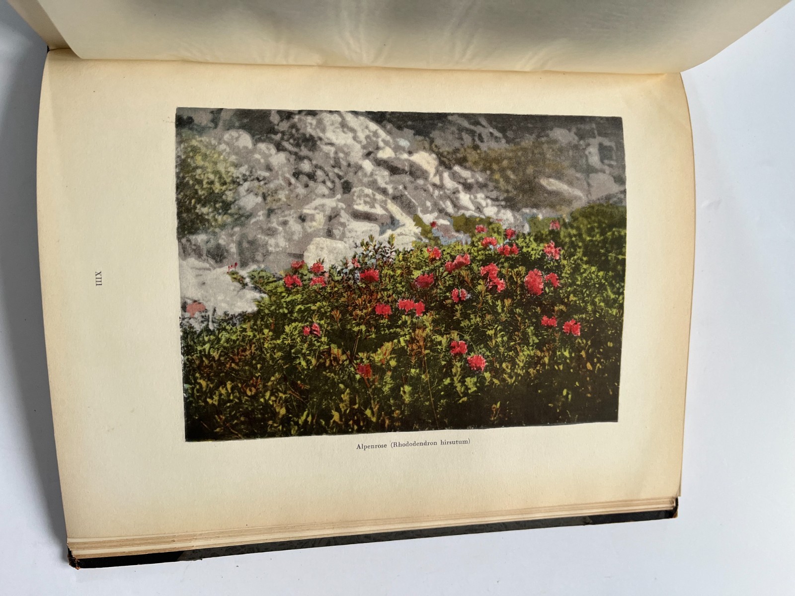 1926 THE ALPS Die Alpen Alpine Photography Hans Schmithals, German Wasmuth