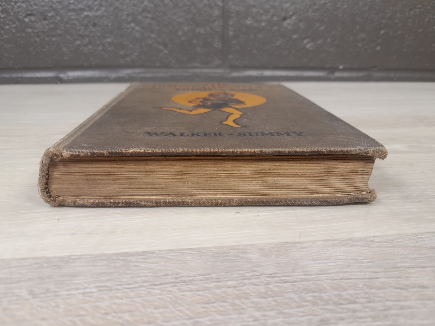 1926 The Study Readers Third Year By Alberta Walker HC First Edition