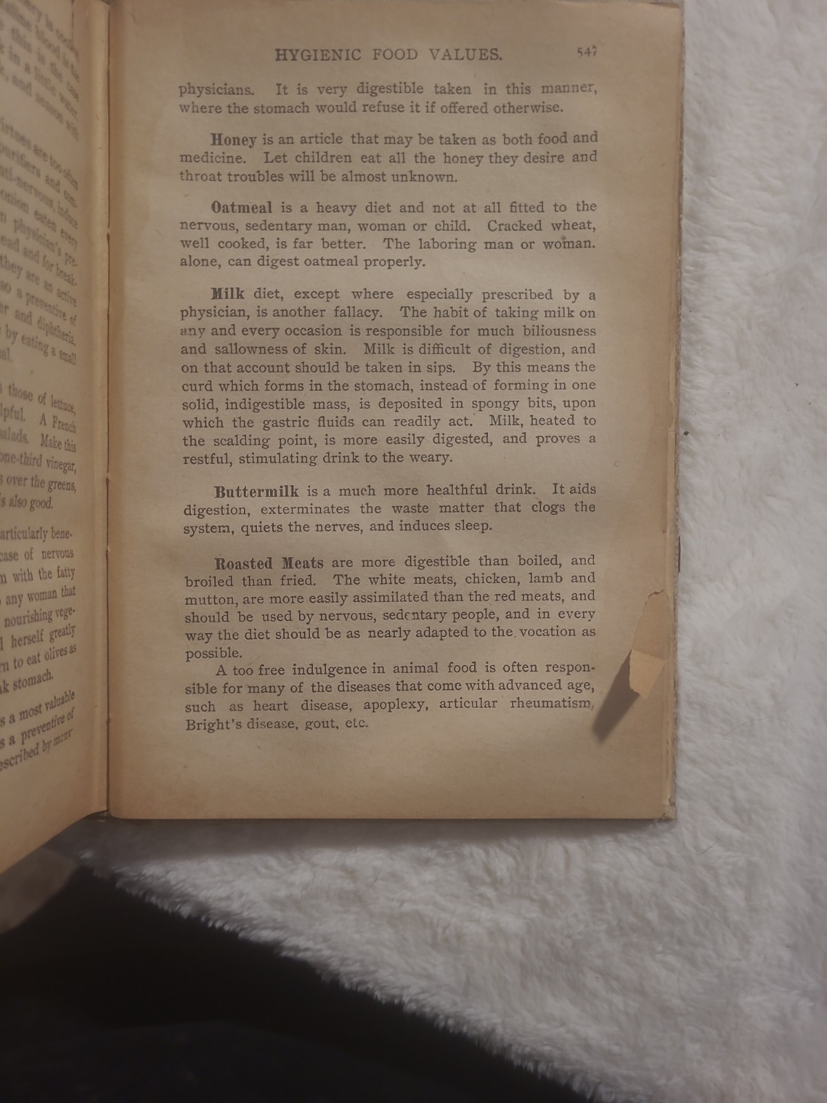 124 YEARS OLD – The Great 20th Century Cook Book: Three Meals A Day – 1902