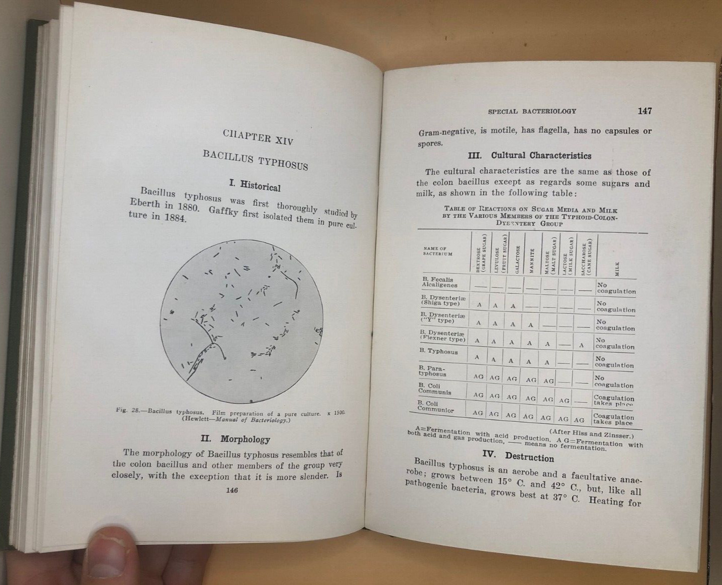 ANTIQUE Principles Bacteriology Eisenberg 1925 HARDCOVER MOSBY MICROBIOLOGY