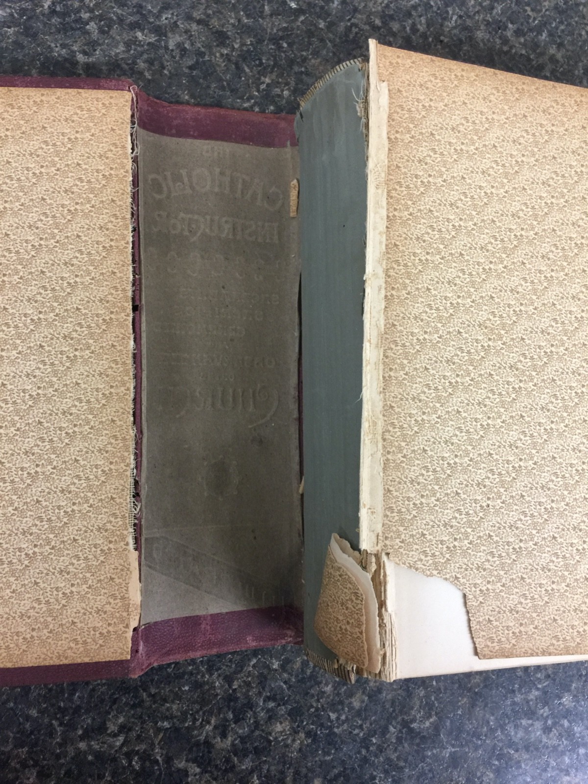 CATHOLIC CHRISTIAN INSTRUCTOR BISHOP CHALLONER ILLUSTRATED 1889 HC