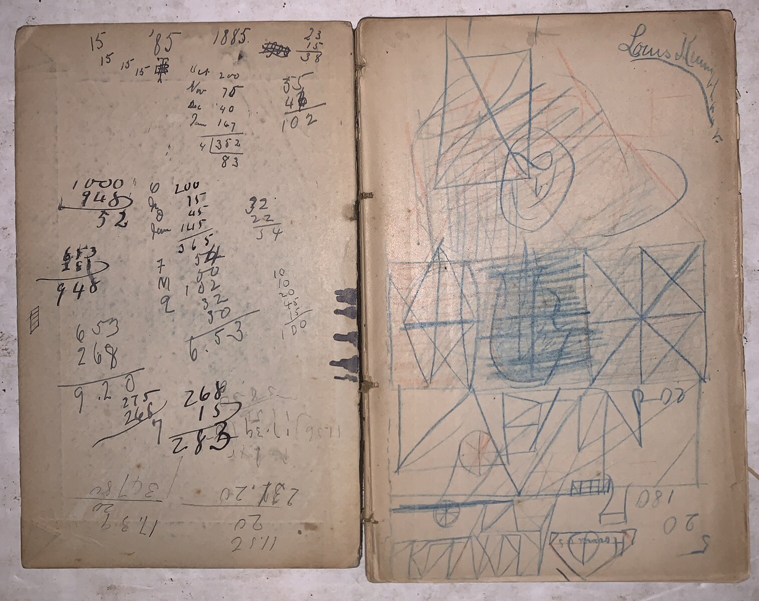 1880’s, ILLUSTRATED MANUSCRIPT NOTEBOOK, NATURAL HISTORY, LOUIS KRUMBHAAR