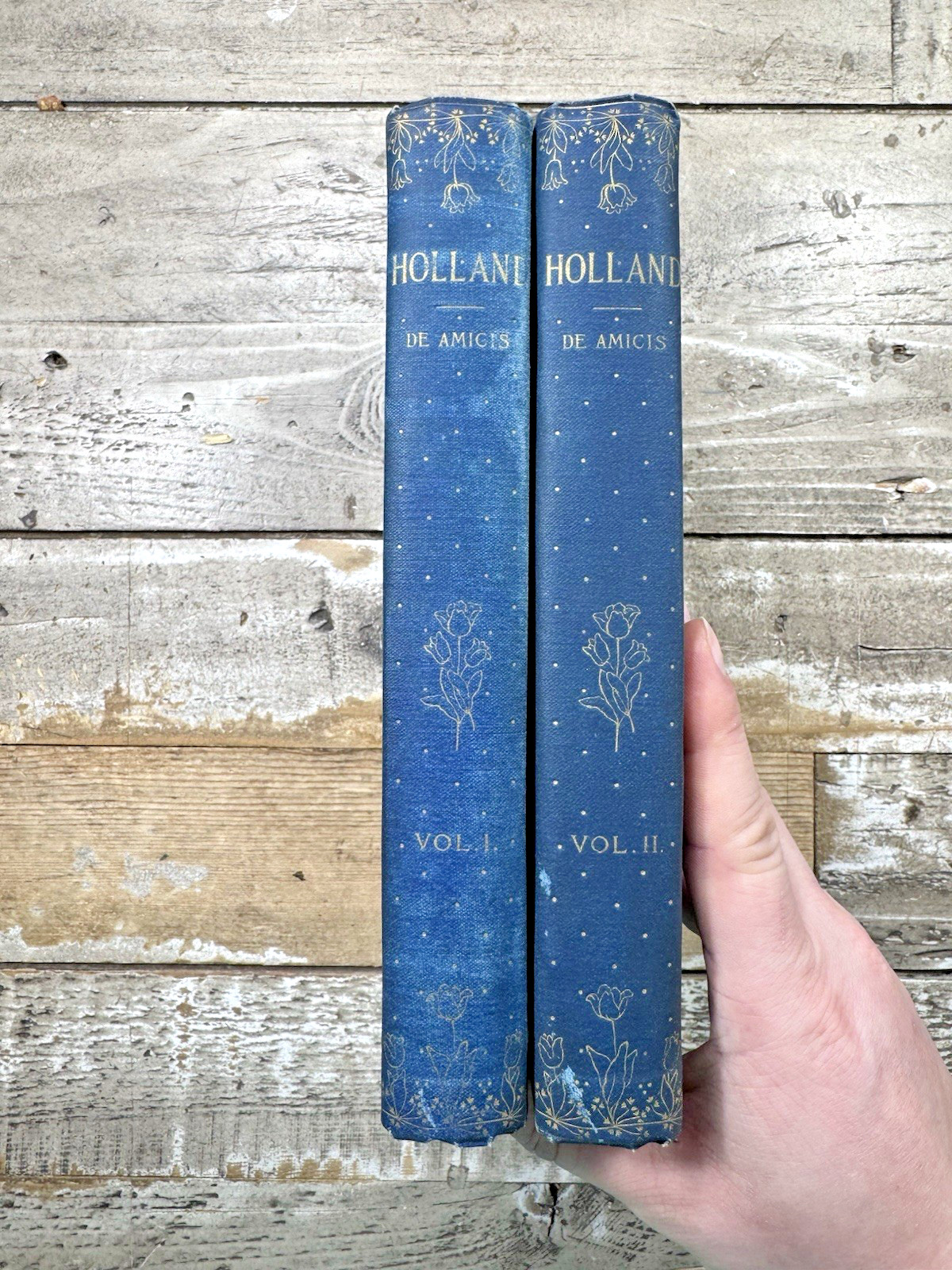 1894 Antique Travel Narratives “Holland” De Amicis, Vol. I-II