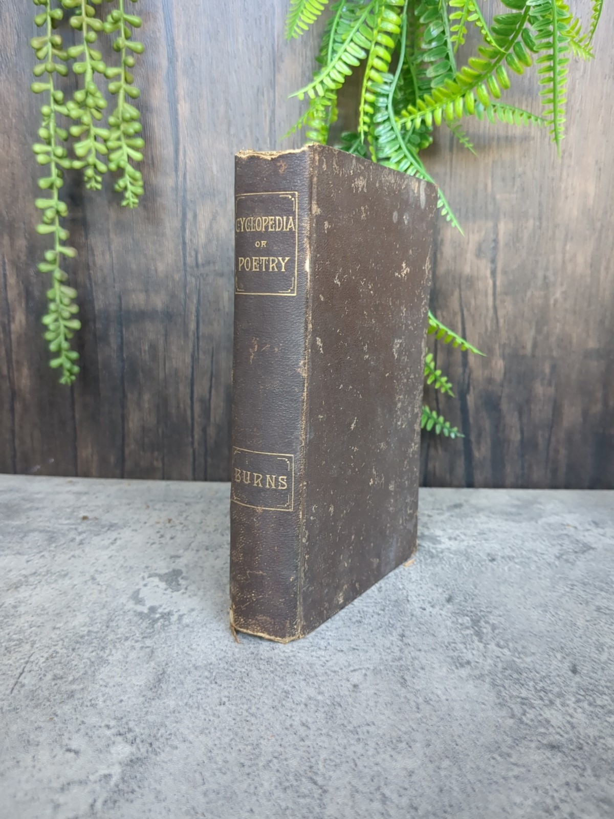 The Poetical Works of Robert Burns Correspondence & Notes A. Cunningham 1883