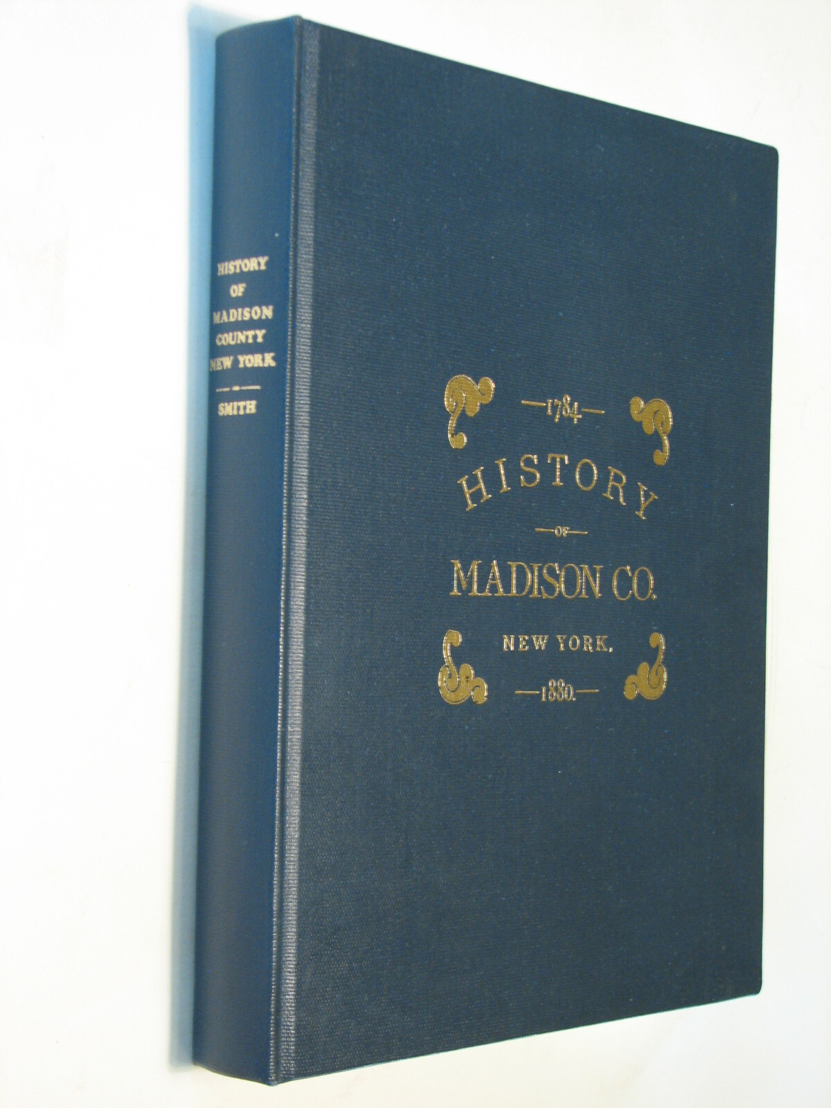 History Madison County New York NY 1880 reprint genealogy Oneida Morrisville
