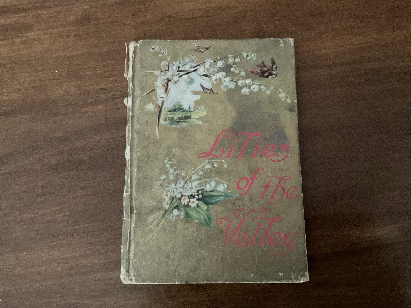 Vintage Book: LILIES OF THE VALLEY By Fine Arts Publishing Co @1909
