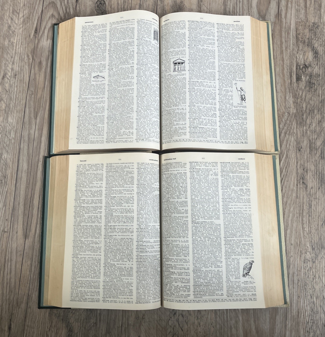 VTG 1966 World Book Encyc Dictionary Complete Set Volume 1 &2 Thorndike-Barnhart