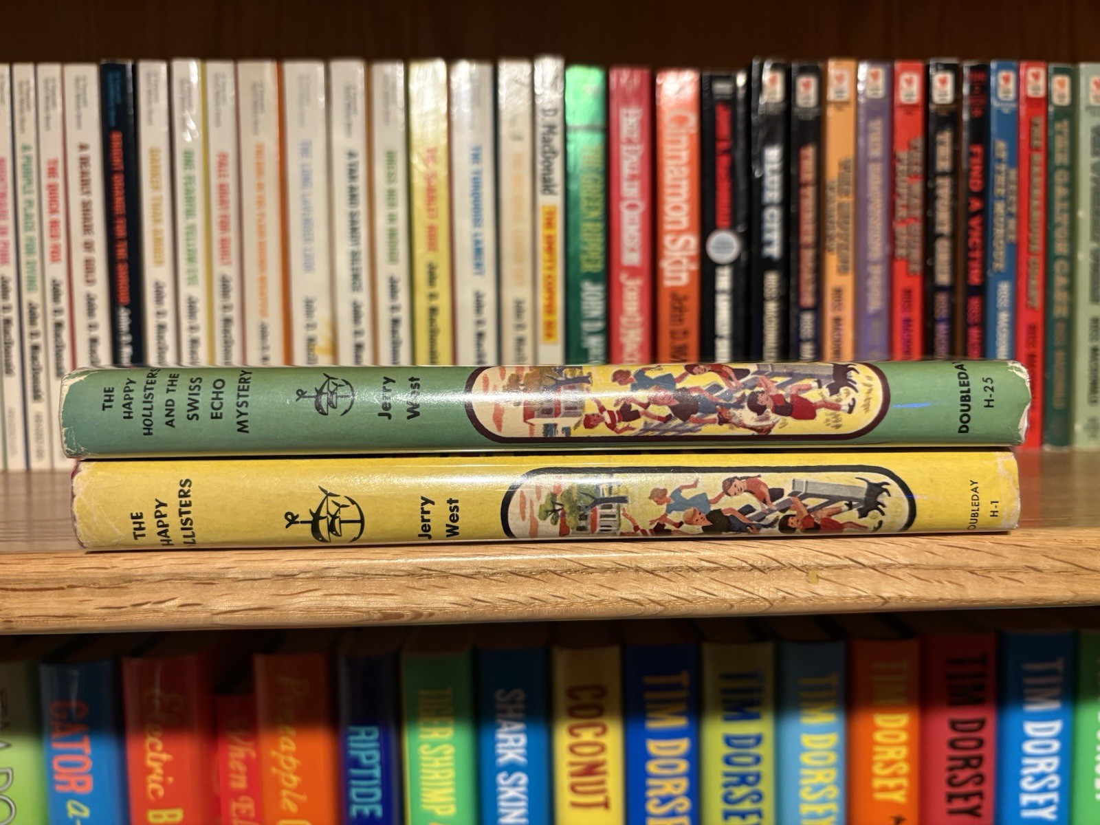 The Happy Hollisters Hardcover With Dustjacket Jerry West Doubleday