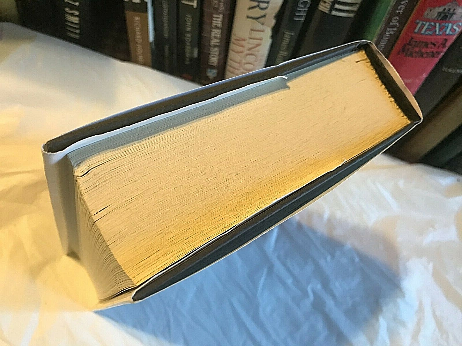 Susan Isaacs GOLDBERG VARIATIONS Large Print Edition Sassy Smart Witty Humor