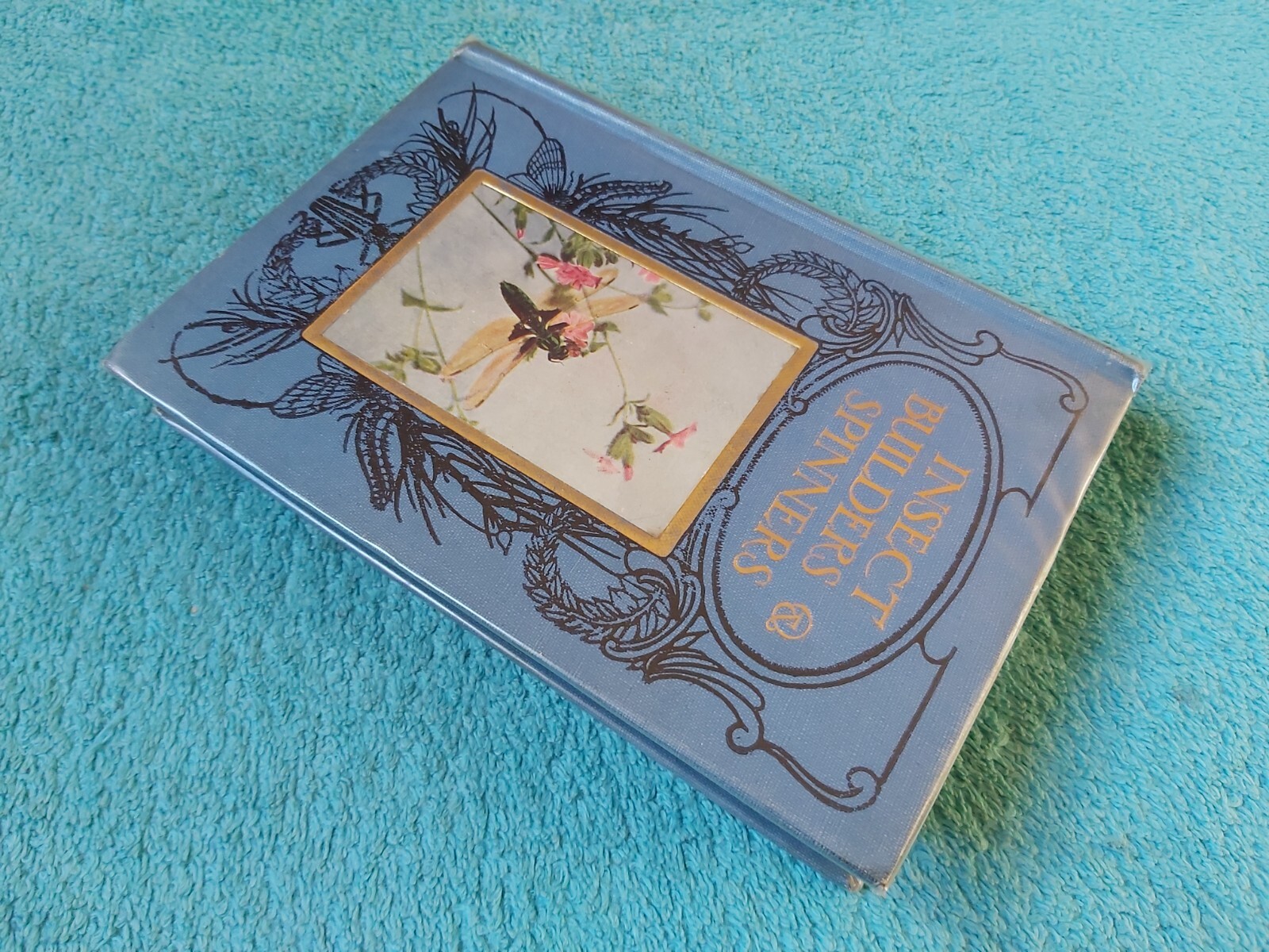 Insect Builders and Spinners by Martin Duncan, Henry Frowde H&S, HB, 1930s