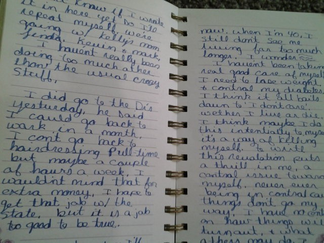 Vintage Journal 2002-03 , Handwritten Woman’s Diary all page written on