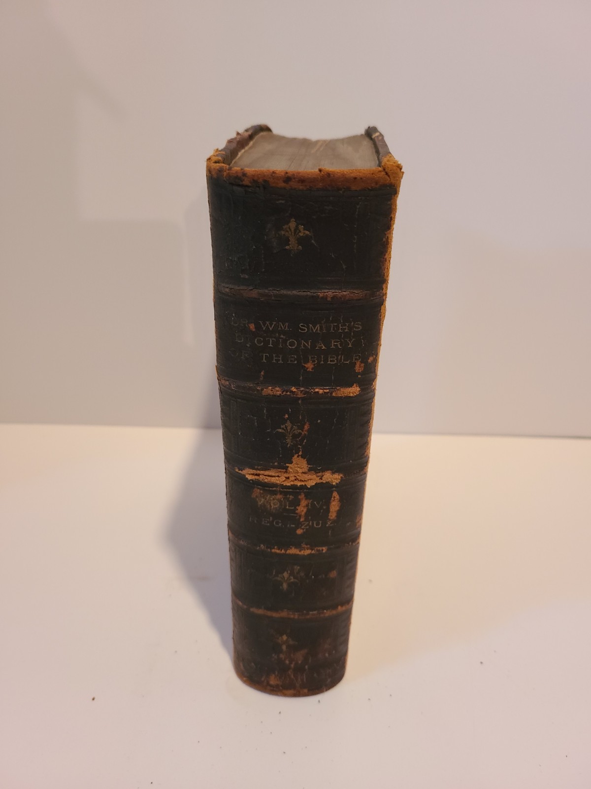 Dr William Smith dictionary of the Bible. 1873