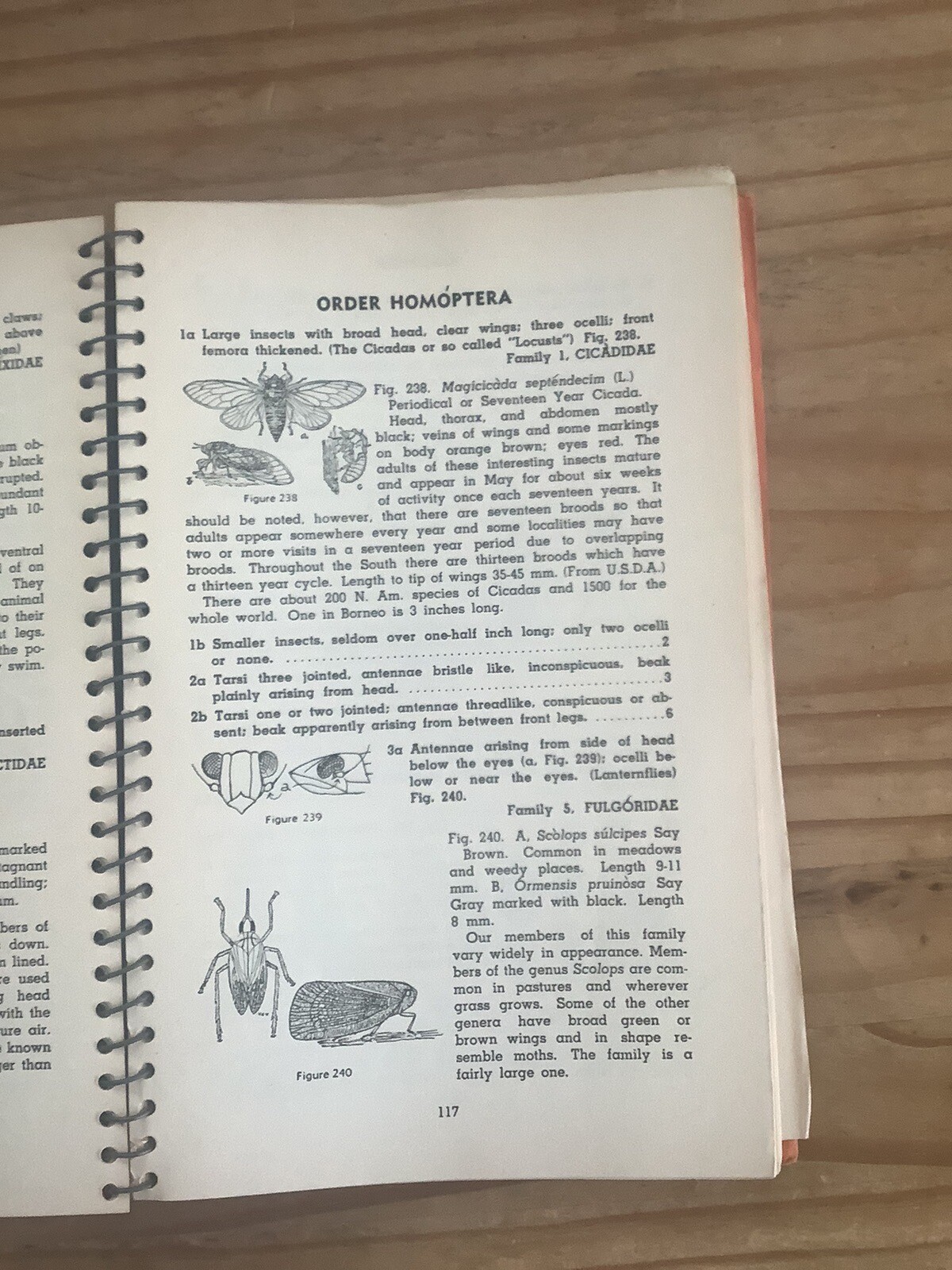 How To Know The Insects Revised Edition 2nd Edition Spiral & Cloth Binding