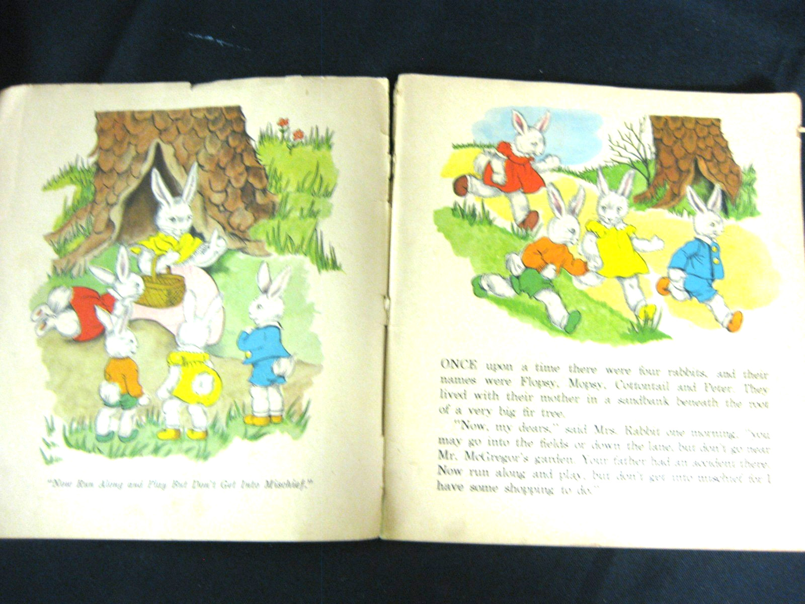 Peter Rabbit & Chicken Little, Theresa Kalab Whitman 1948 PB illustrated