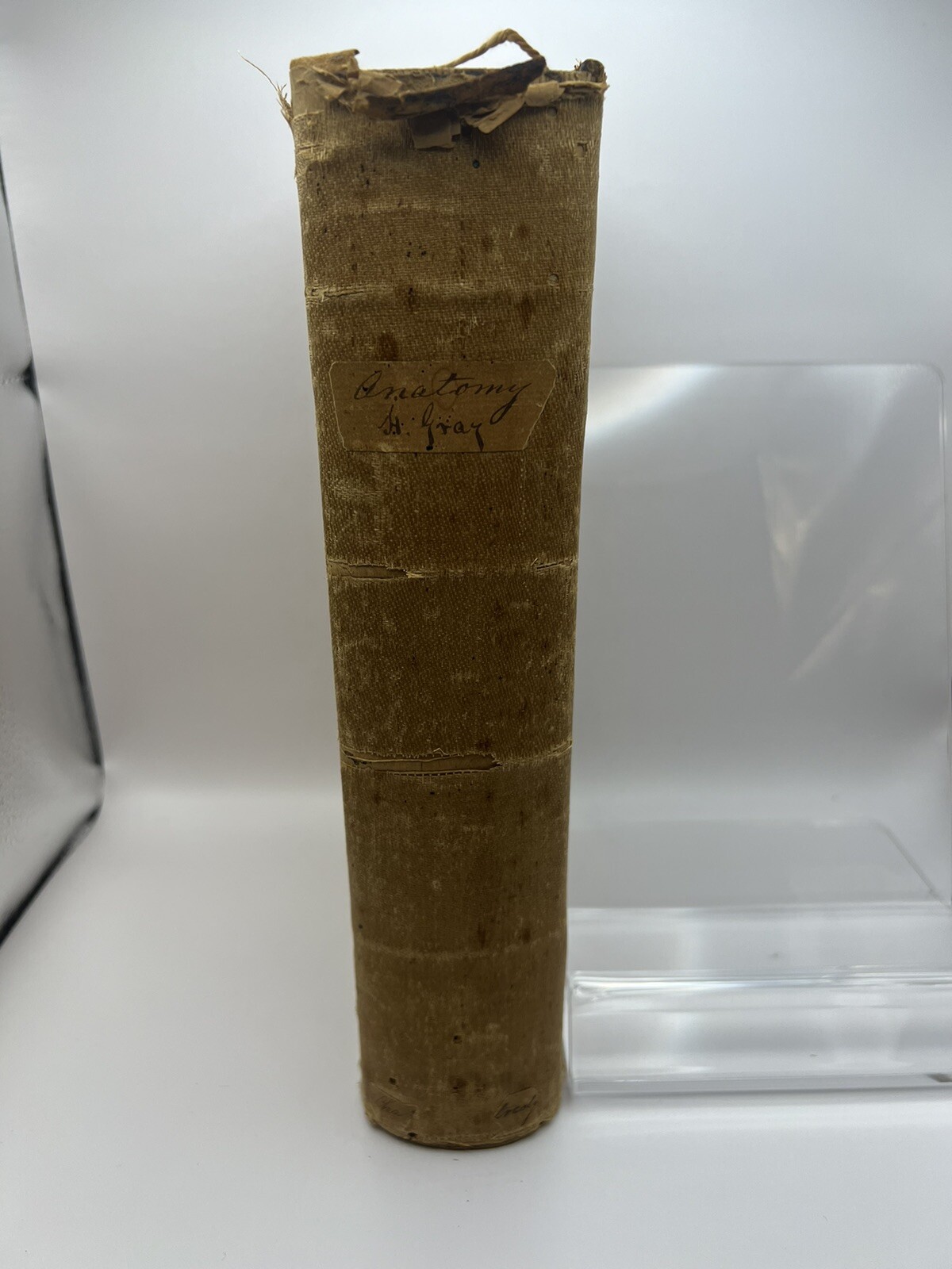 “Gray’s Anatomy” Anatomy Descriptive and Surgical By Henry Gray 1859