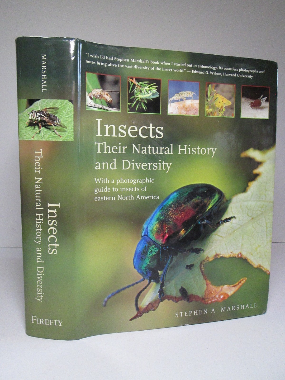 Entomology INSECTS Their Natural History & Diversity 2006 Book Stephen Marshall