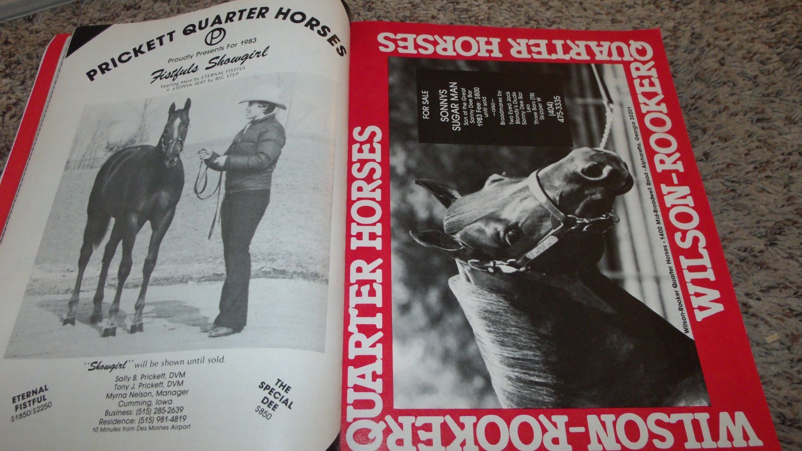 APRIL 1983 QUARTER HORSE JOURNAL AQHA BOOK MAGAZINE ANNUAL RACING RACE EDITION