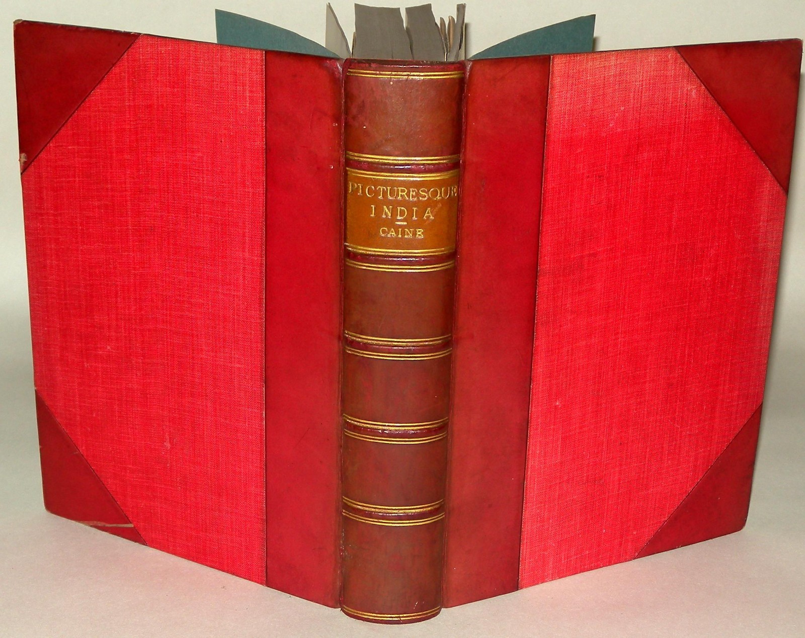 Picturesque India 1890 W S Caine Illustrated Victorian Travel Antique HB