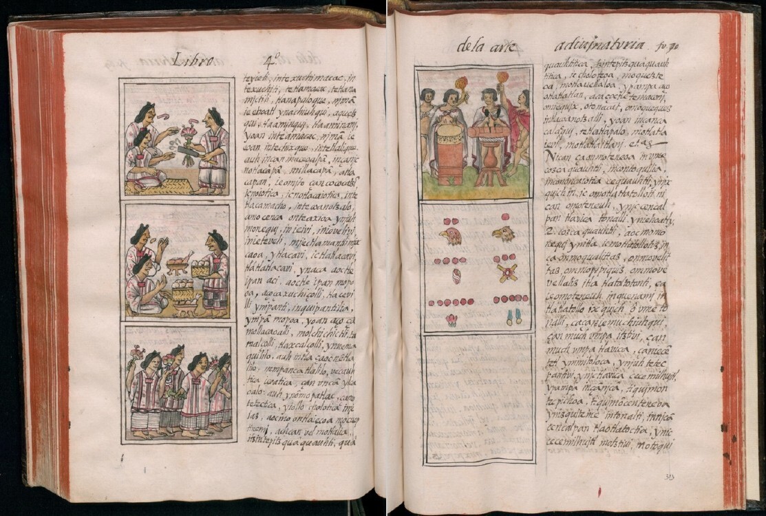 The Florentine Codex – Historia general de las cosas de nueva España 3 Vol DVD