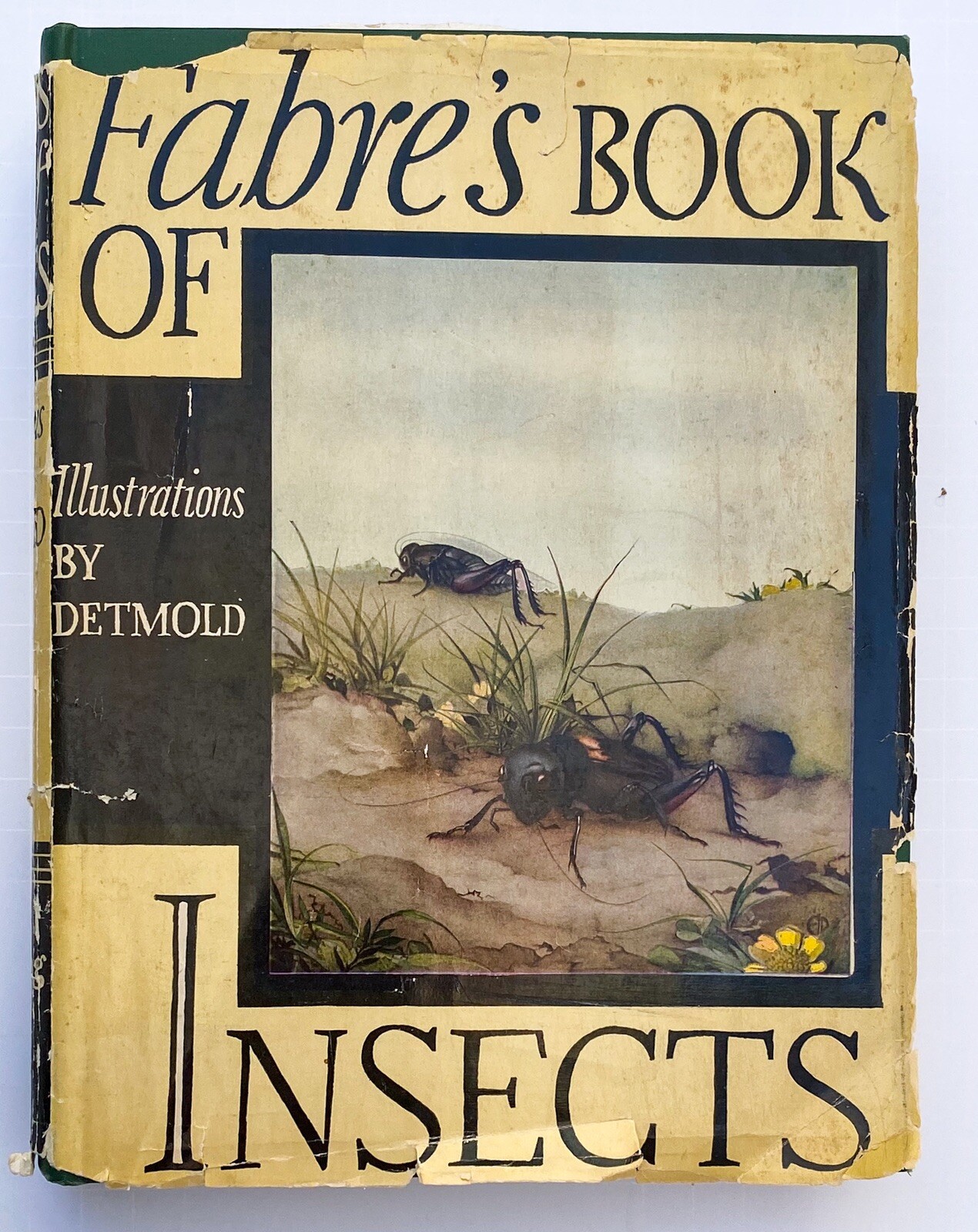 Vintage 1937 FABRE’S Book Of Insects w/ Illustrated Plates E J Detmold HC DJ