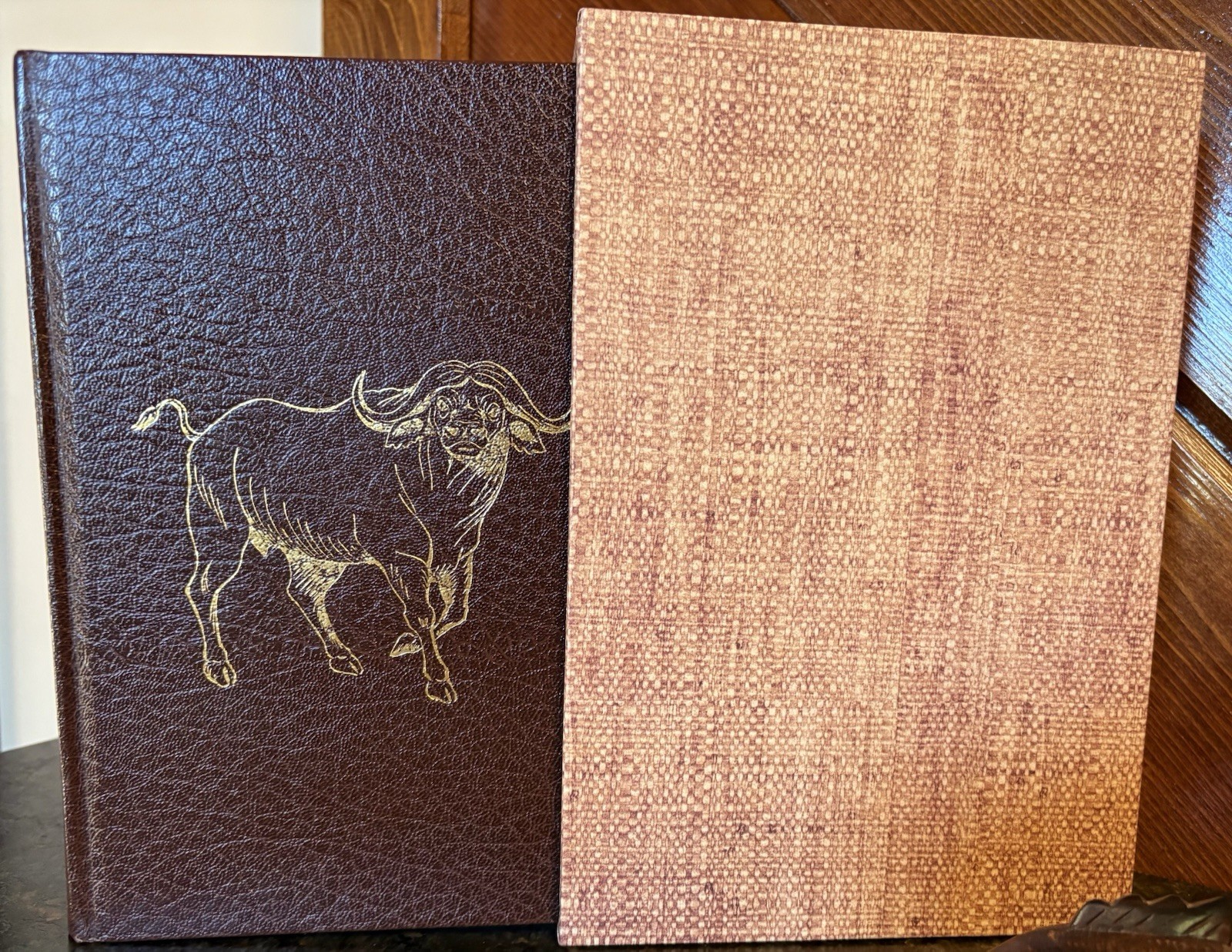 Hunting African Buffalo Lions By Jim Rikhoff Amwell Hunter Africa Game Anthology
