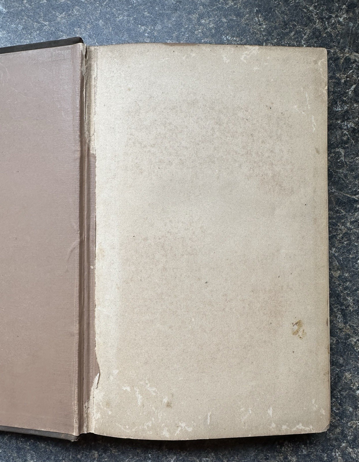 1879 Destruction and Reconstruction CSA Memoirs Confederacy Civil War Americana