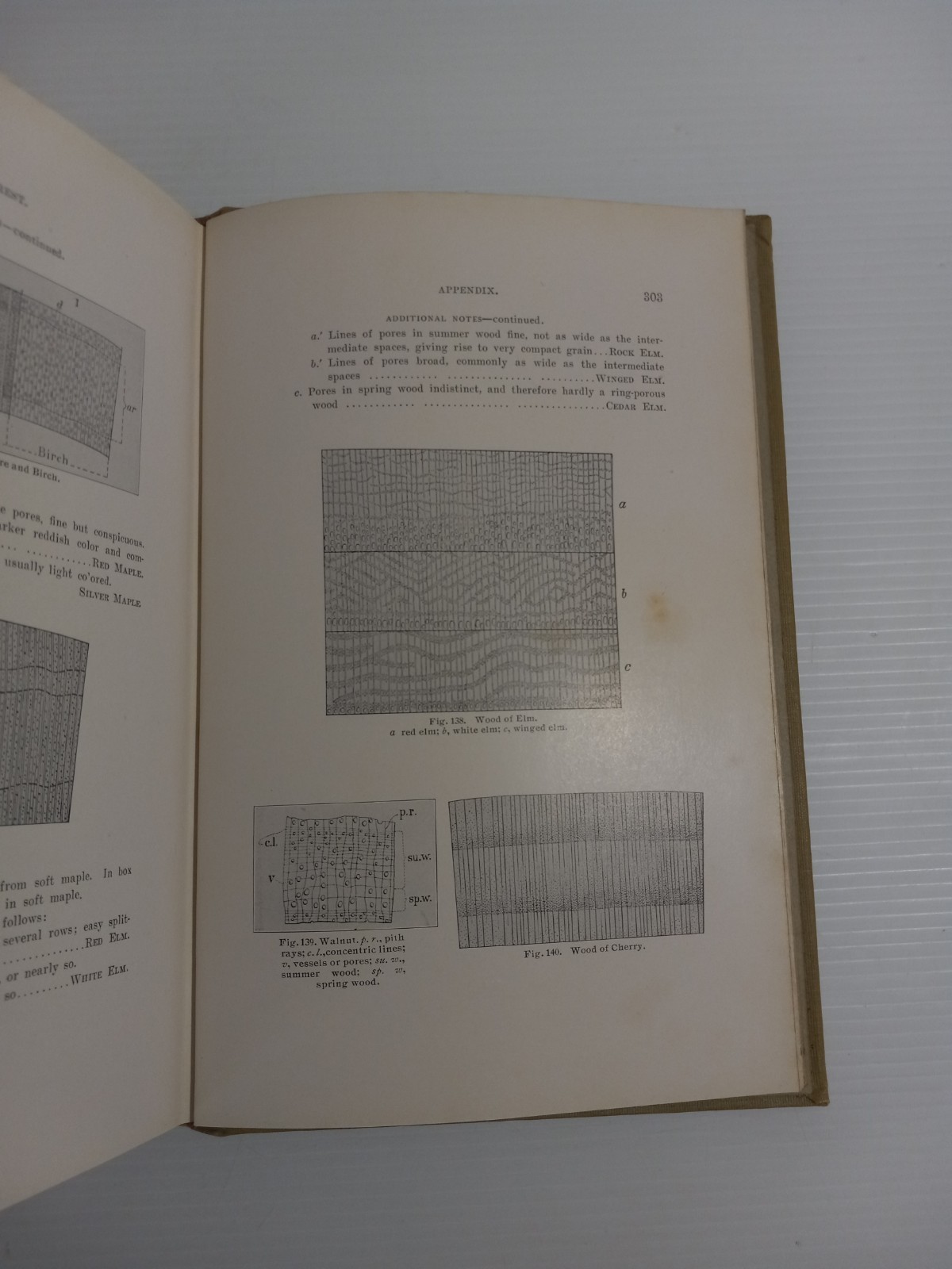 Wood and Forest by William Noyes Educational Vtg 1912 HC Vtg Manual Arts Press