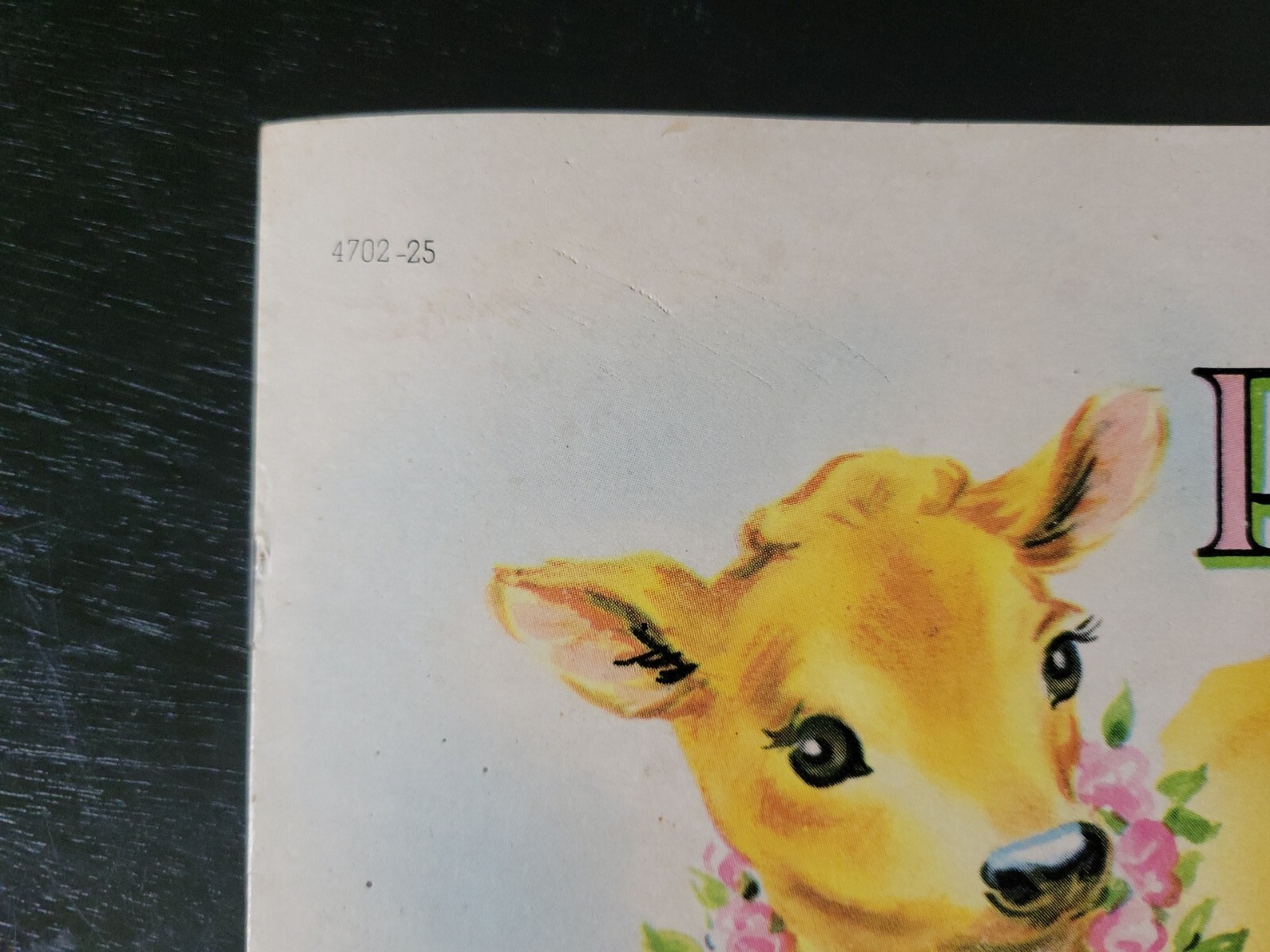Pets Saalfield Plastic Book