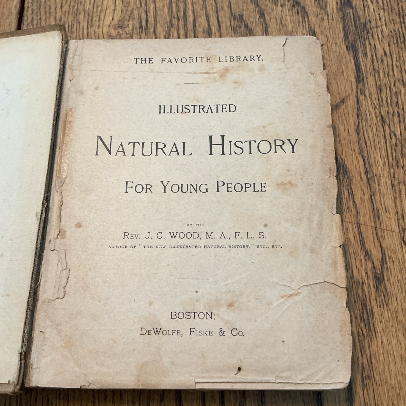 1901 Wood’s Natural History for Young People HB Illustrated