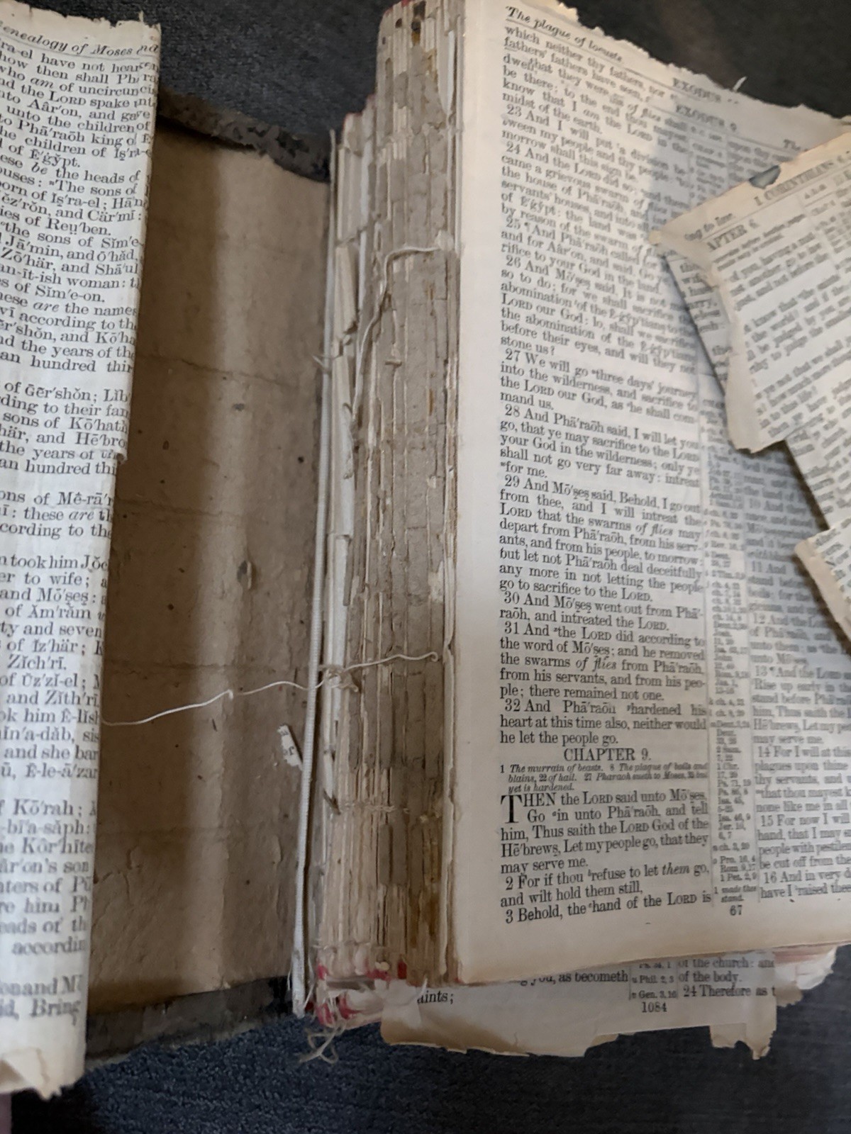 Antique Holy Bible Red Letter International Bible Press Epherma Junk Journal